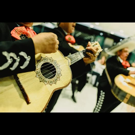 Mariachi Nacional en Acción